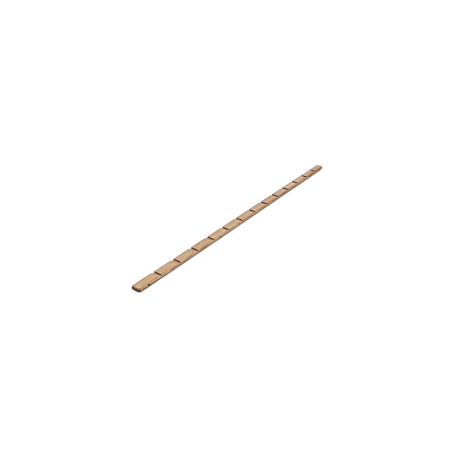 MORE rail