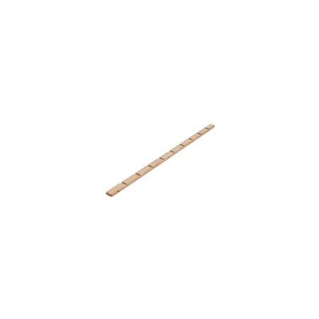 MORE rail