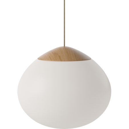 ACORN 41
