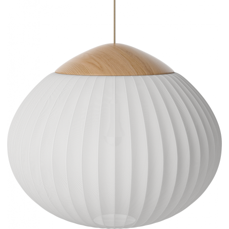 ACORN 50