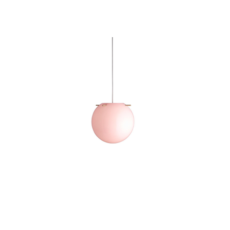 Koi 19
