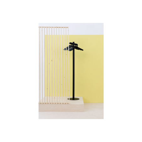 Pole